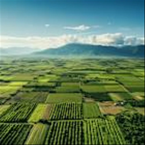 Analysts Remain Bullish on HIVE Digital Technologies (HIVE) As Company Expands AI Compute and Infrastructure Strategy