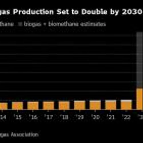 Biogas Traders Become Hot Commodities on Demand for Clean Fuel
