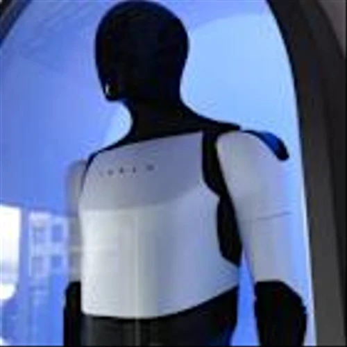 Tesla Stock Depends on Musk’s Robot Army. Why Fierce Competition Is a Problem.