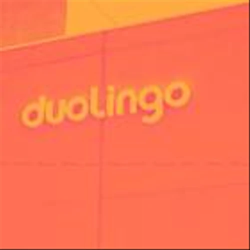 Duolingo, Arhaus, The Honest Company, Crocs, and Avis Budget Group Stocks Trade Up, What You Need To Know