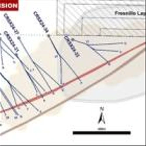 Orla Mining Reports Positive Drilling Intersections and Metallurgical Results at Camino Rojo Sulphide Extensions