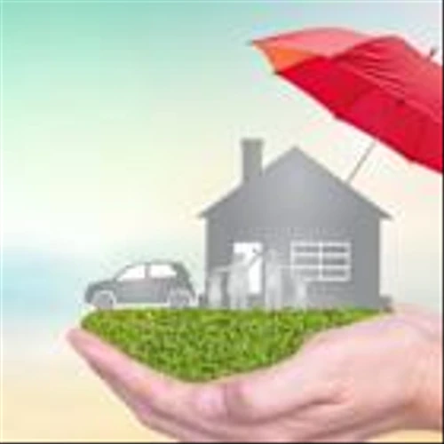KINS vs. UFCS: Which Regional Insurer Offers Better Value Investment?