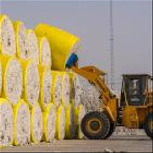 ‘Significant’ Volume of Xinjiang Cotton Mislabeled as US or Brazilian