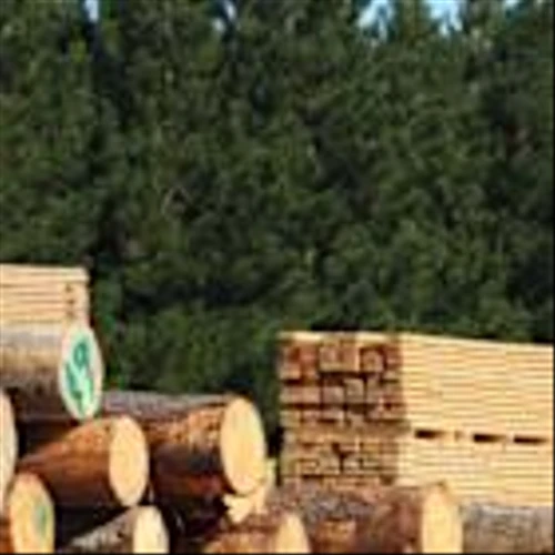 Investing in West Fraser Timber (TSE:WFG) five years ago would have delivered you a 328% gain