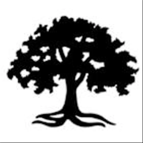 AVALON HOLDINGS CORPORATION ANNOUNCES THIRD QUARTER RESULTS