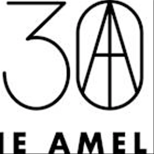 The Amelia Winners: 1938 Alfa Romeo 8C 2900 and 1967 Lotus 49 Earn Best of Show Accolades as Enthusiasts Celebrate Speed and Elegance