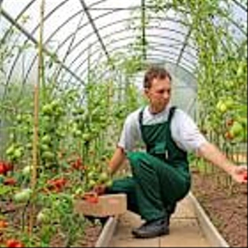 Deere (DE) Shares Up After Jim Cramer Said It Could Go Higher