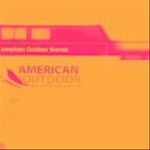 American Outdoor Brands (NASDAQ:AOUT) Delivers Impressive Q3 CY2025