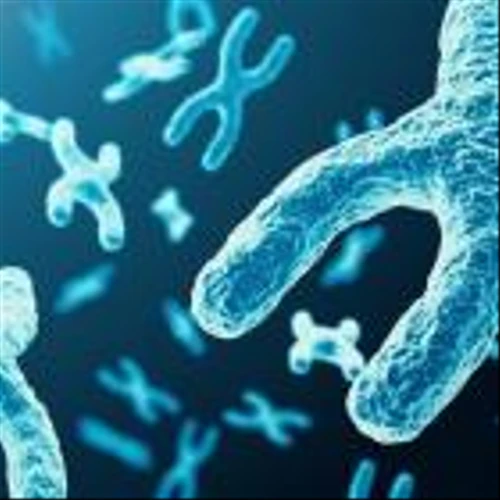 Charles River & Valo Health's Logica Identifies New Lupus Drug Candidate