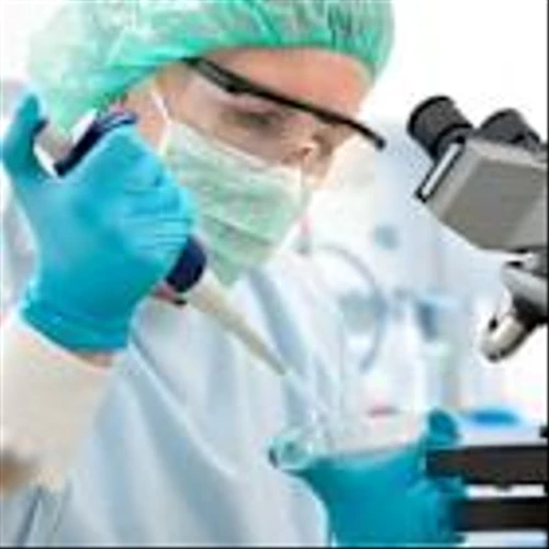 Vaximm and BCME link on oral cancer immunotherapy platform