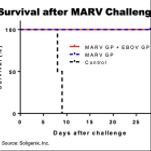 SNGX: Marburg Outbreak Puts Focus on Soligenix Vaccine Development…