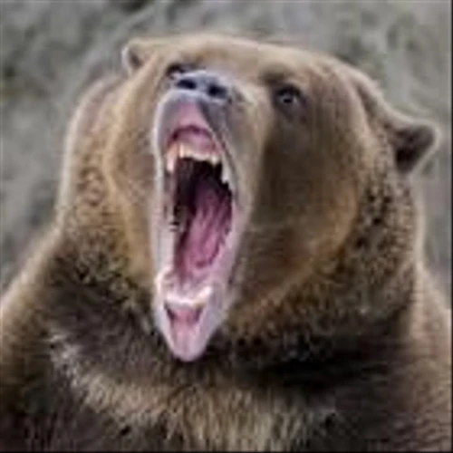 Dow Jones Dives As Oil Prices Hit $100 Amid Iran War; Tesla Looms