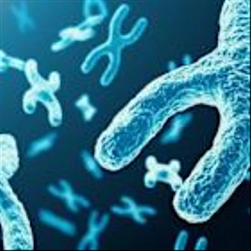 RIGL vs. FOLD: Which Biotech Stock Offers Better Growth Potential?