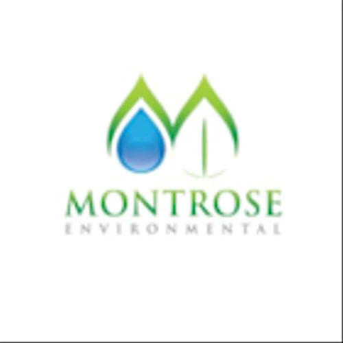Montrose Environmental Group Inc (MEG) Q1 2025 Earnings Call Highlights: Record Revenue and ...