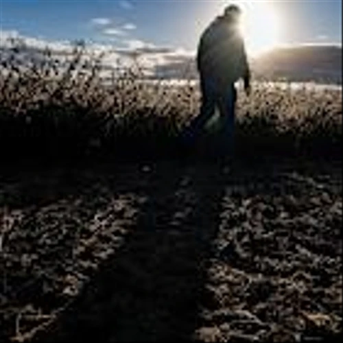 Trump Will Give Farmers $12 Billion. The Stocks That Could Get a Boost—Ones That Won’t.