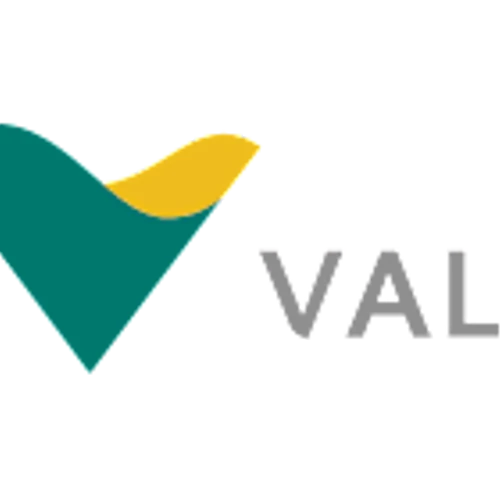 Vale S.A. (VALE) Faces Diverging Analyst Calls Amid Iron Ore Market Shifts