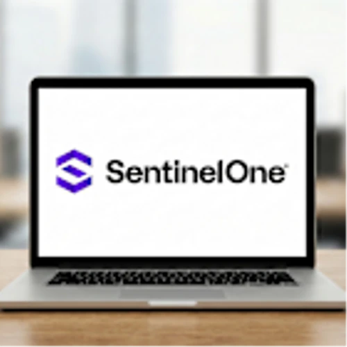 What’s Up With SentinelOne? An Ultra-Deep Value Opportunity