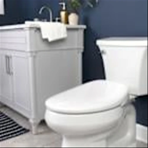 Bemis Flushes the Competition With Nationwide Launch of Bidet Toilet Seat at The Home Depot