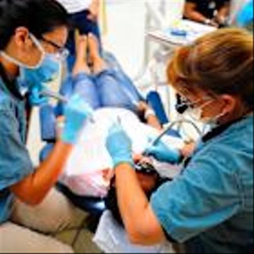 Is Cogent Biosciences (COGT) One of the Best Multibagger Stocks to Buy According to Billionaires?