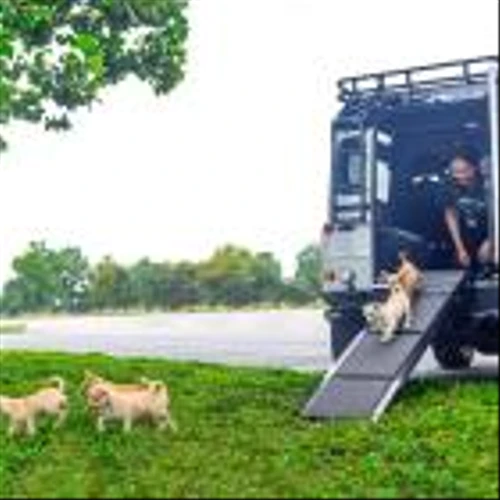 ECD Auto Design Partners with Mercy Full Projects to Support Animal Welfare