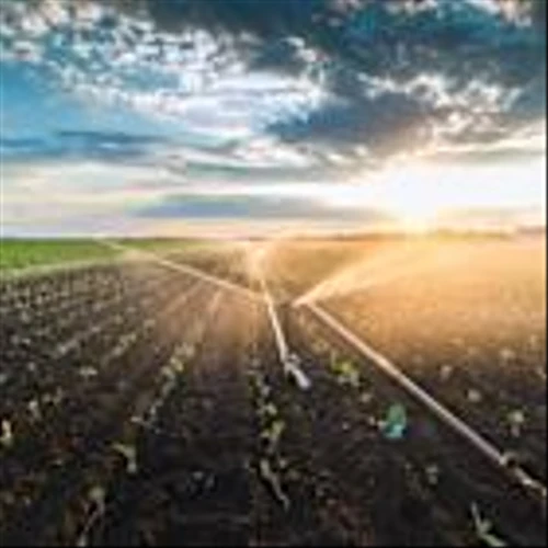 Biodiesel and the X15: Low-Carbon Power for 2027 and Beyond