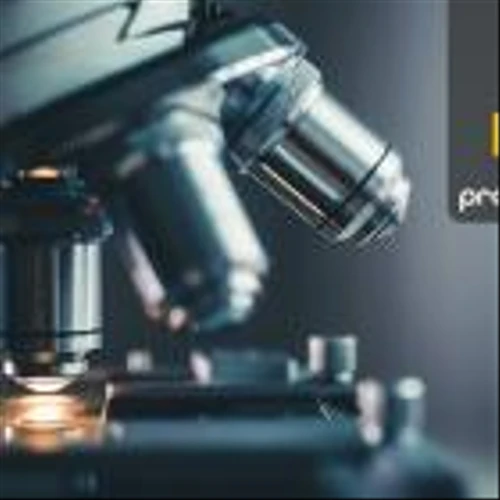 Lisata Therapeutics advances lead asset LSTA1 for treatment of advanced solid tumors
