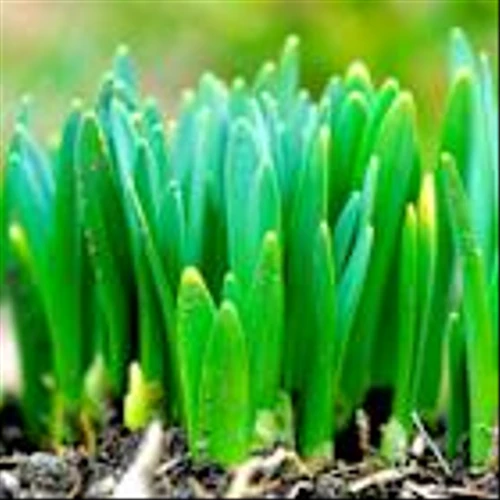 Can Archer Daniels' Q3 Earnings Beat Despite Tough Market Conditions?