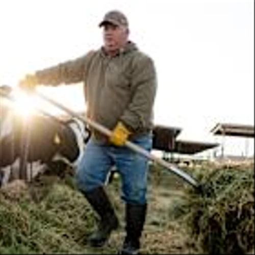 2 Dividend Stocks to Buy As Washington Stalls