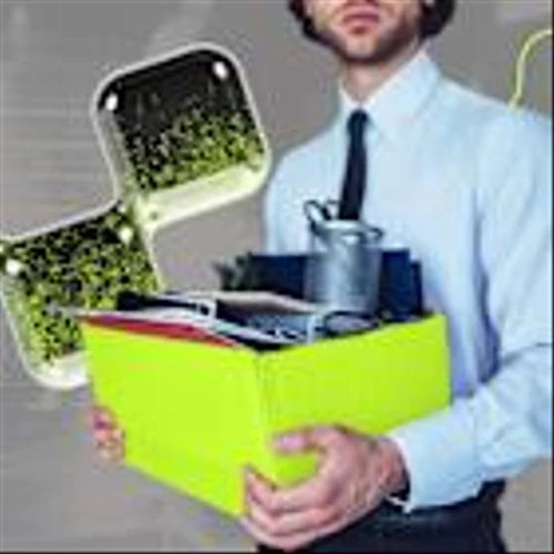 Forget MBAs — Japan’s Banks Are Hiring Math PhDs and AI Wizards