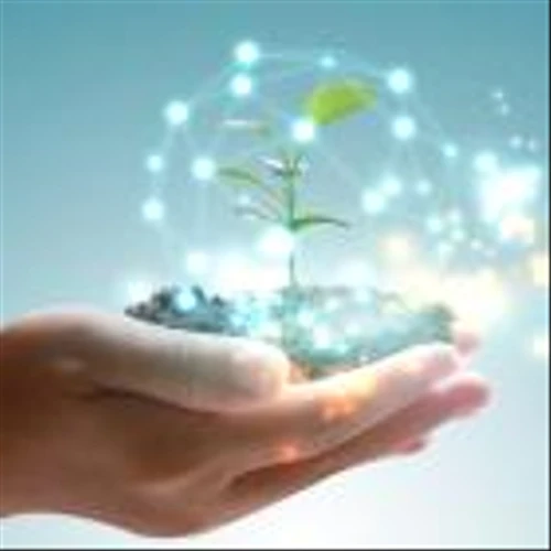 The Future Is Green: 3 Must-Have Renewable Energy Stocks for 2024