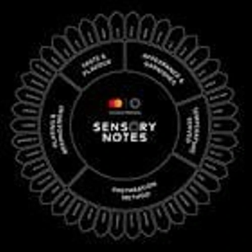 Mastercard unveils Inclusion Hub and innovative inclusivity measures co-designed with autistic Australians