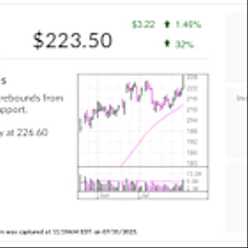 IBD Stock Of The Day, Snowflake, On Artificial Intelligence Fast Track