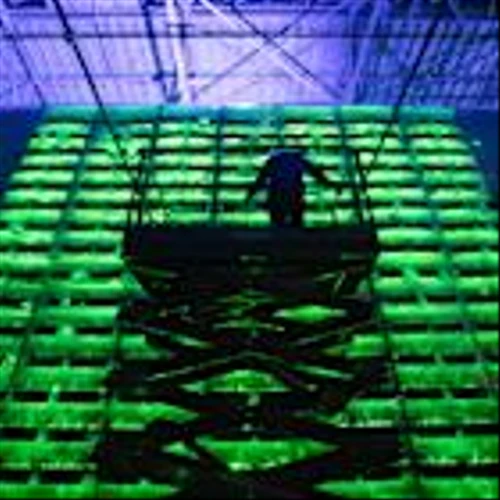 Crypto Miners Riding the AI Wave Are Leaving Bitcoin Behind