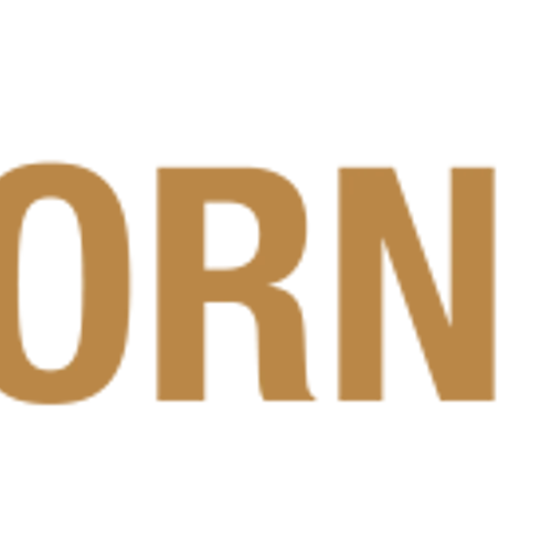 Reborn Coffee Secures $1 Million Private Placement Equity Commitment from Chairman Farooq Arjomand, Catalyzing International Growth Initiatives