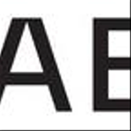Zaelab Appoints Bob Schwartz as Vice Chairman while Accelerating Enterprise Modernization Strategy