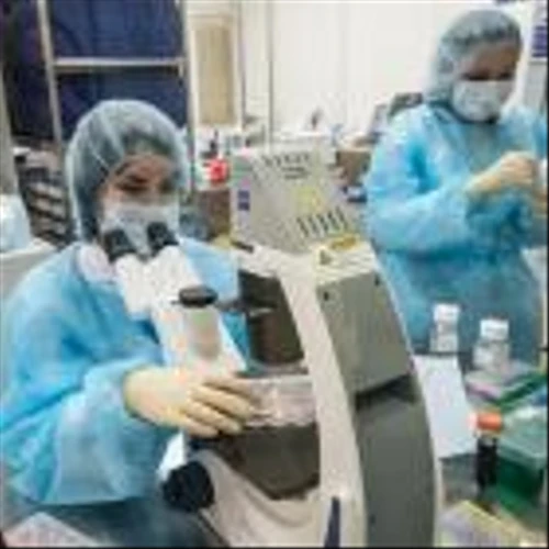 This Biotech Stock Has Doubled Its Value Today—Here's Why