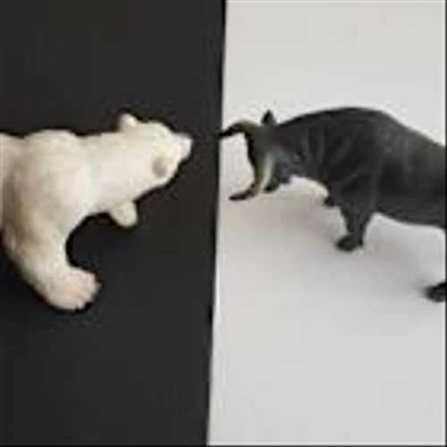 1 Analyst Says Ignore the Noise and Keep Buying Sandisk Stock