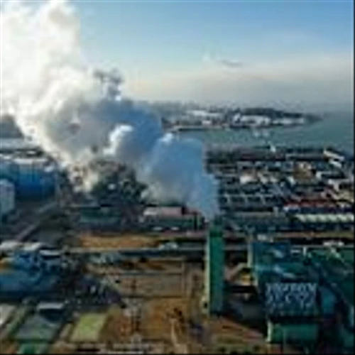 Steelmaker Posco Aims to Expand LNG Business Amid More US Supply