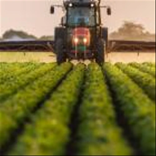 Is ICL Group Ltd's (NYSE:ICL) Recent Stock Performance Influenced By Its Fundamentals In Any Way?