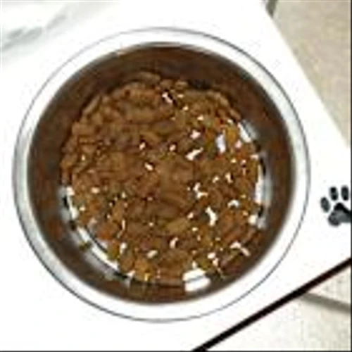 Chewy Inc. (CHWY) Posts Impressive Q2 Results on Revenue Growth
