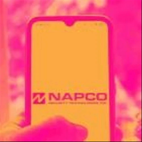 Spotting Winners: Napco (NASDAQ:NSSC) And Electrical Systems Stocks In Q3