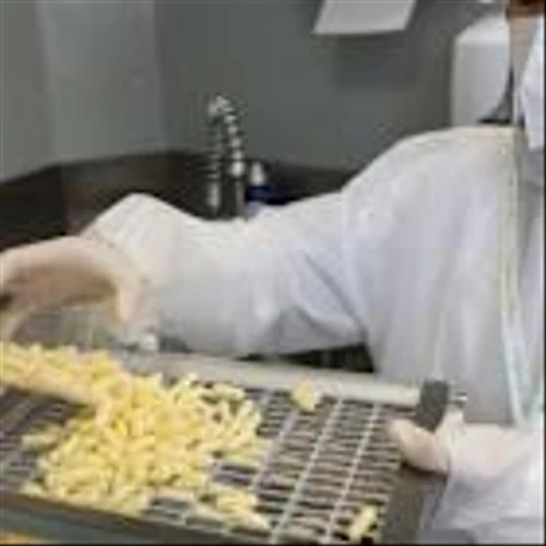 Pharma Stocks in Europe Jump After White House Unveils Drug-Buying Site