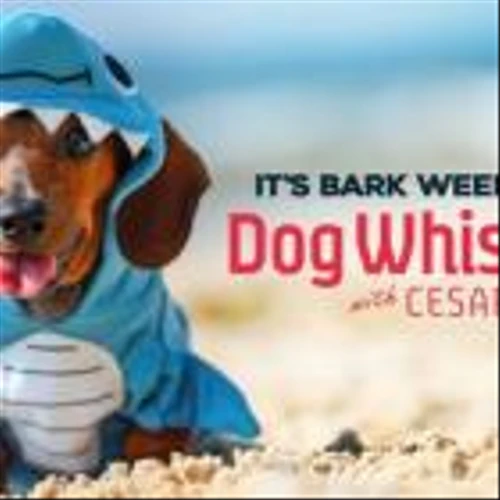 Cineverse's 'Dog Whisperer With Cesar Millan' FAST Channel Celebrates 'Bark Week' and Goes Live on Pluto TV