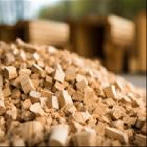 15 Countries that Produce the Most Biomass Energy in the World