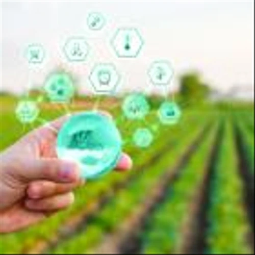 AVO vs. AGRO: Which Agri Stock Has Better Long-Term Growth Potential?