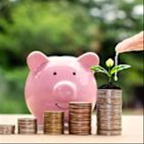 2 Growth Stocks to Buy Now With Less Than $500