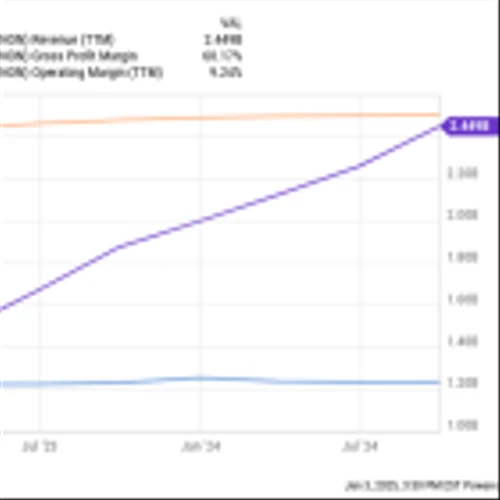 These 3 Stocks Doubled in 2024. Here's the Best One for 2025