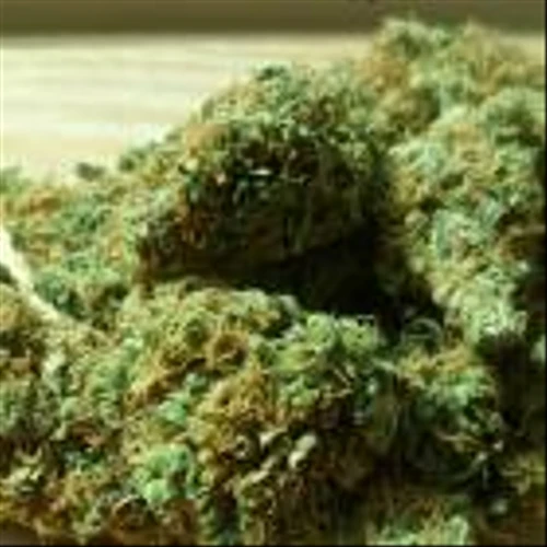 Why SNDL Inc. (SNDL) Is One of the Best Pot Stocks to Invest in According to Analysts?