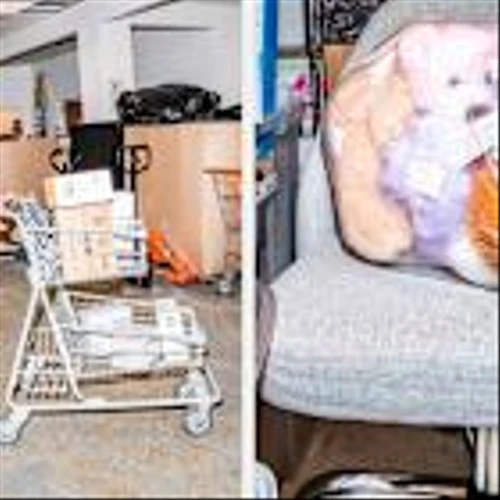 Bin Stores Are Thriving Among Inflation-Weary Shoppers. What’s the Lure?