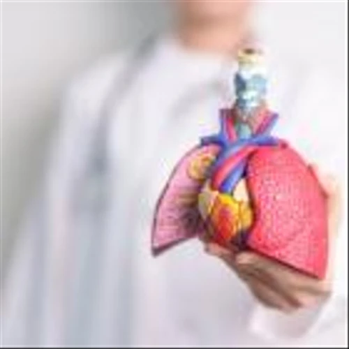 Sionna Therapeutics’ IPO: A strategic shift in the cystic fibrosis market